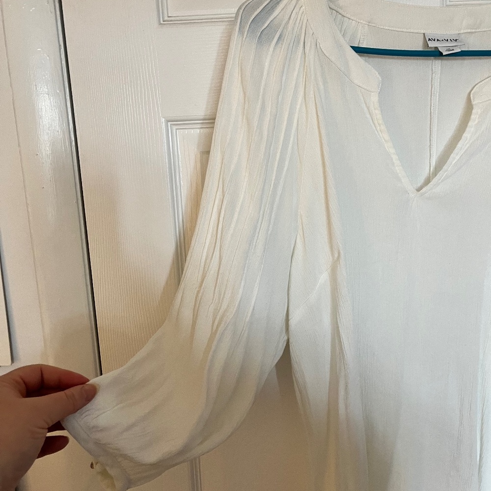Ava and Viv Sheer Blouse